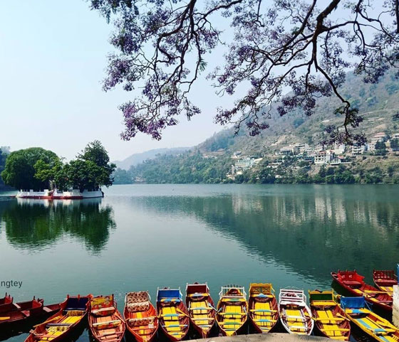 Didihat/Choukori - Bhimtal / Champavat